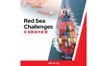 Red Sea Challenges_SG